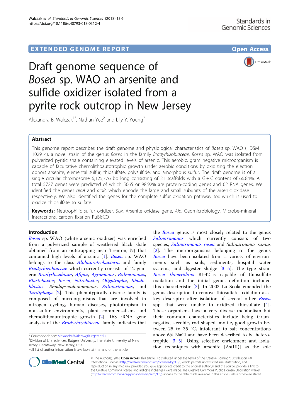 Draft Genome Sequence of Bosea Sp. WAO an Arsenite and Sulfide Oxidizer Isolated from a Pyrite Rock Outcrop in New Jersey Alexandra B