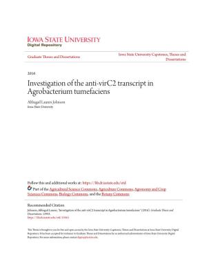Investigation of the Anti-Virc2 Transcript in Agrobacterium Tumefaciens Abbagail Lauren Johnson Iowa State University