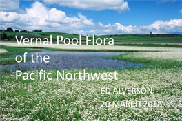 Vernal Pool Flora of the Pacific Northwest ED ALVERSON 20 MARCH 2018 Plagiobothrys Figuratus What Is a Vernal Pool?