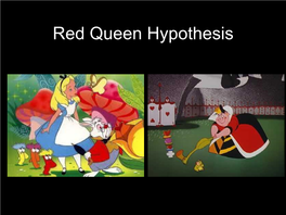 Red Queen Hypothesis Red Queen Stated to Alice…