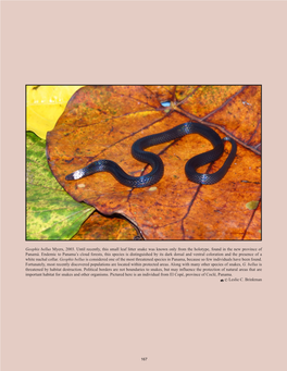 Geophis Bellus Myers, 2003. Until Recently, This Small Leaf Litter Snake Was Known Only from the Holotype, Found in the New Province of Panamá