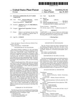 (12) United States Plant Patent (10) Patent N0.: US PP23,372 P2 Ui Et Al