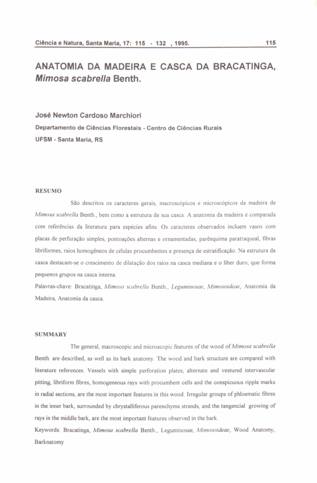 ANATOMIA DA MADEIRA E CASCA DA BRACATINGA, Mimosa Scabrella Benth