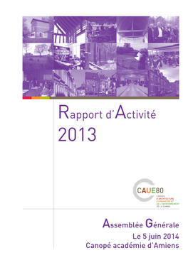 Caue80 AG2014 Rapport Activit