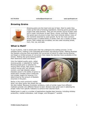 Brewing Grains What Is Malt?