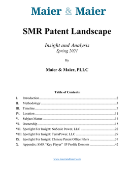 SMR Patent Landscape