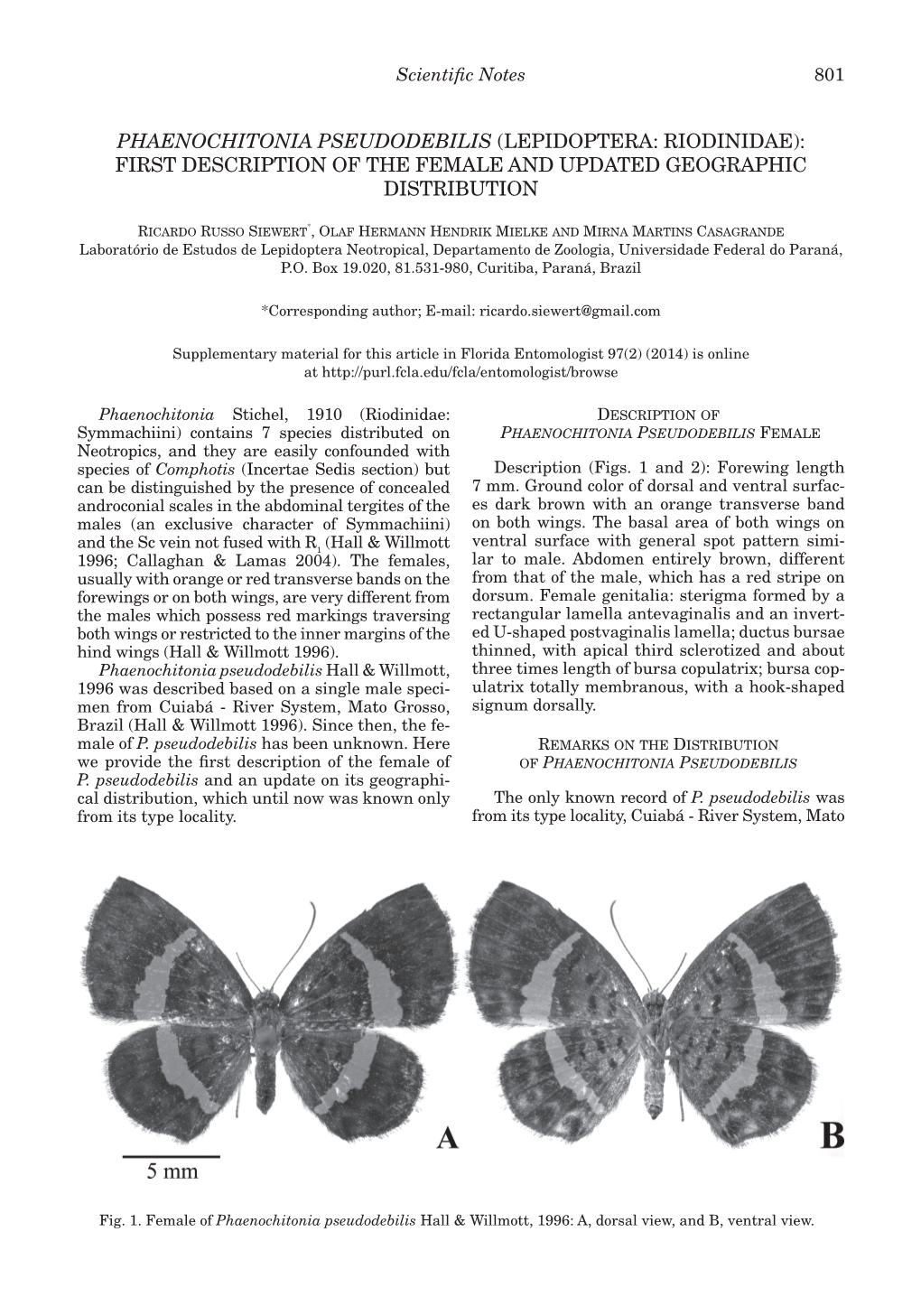 Lepidoptera: Riodinidae): First Description of the Female and Updated Geographic Distribution