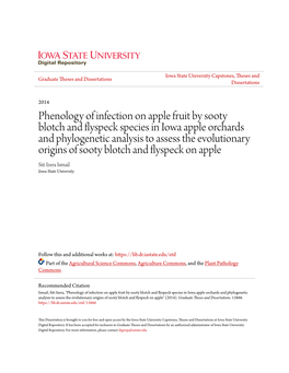 Phenology of Infection on Apple Fruit by Sooty Blotch and Flyspeck