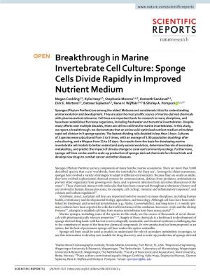 Breakthrough in Marine Invertebrate Cell Culture: Sponge Cells Divide Rapidly in Improved Nutrient Medium