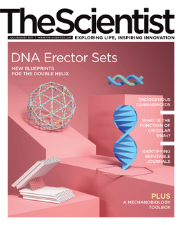 DNA Erector Sets NEW BLUEPRINTS for the DOUBLE HELIX