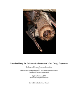 Hawaiian Hoary Bat Guidance Document Draft