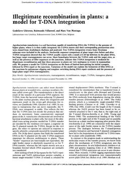 A Model for T-DNA Integration