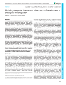 Modeling Congenital Disease and Inborn Errors of Development in Drosophila Melanogaster Matthew J