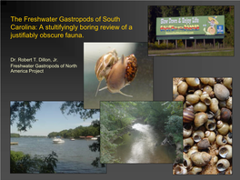 The Freshwater Gastropods of South Carolina: a Stultifyingly Boring Review of a Justifiably Obscure Fauna