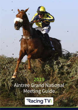 2019 Aintree Grand National Meeting Guide 2019 Grand National Meeting, Aintree