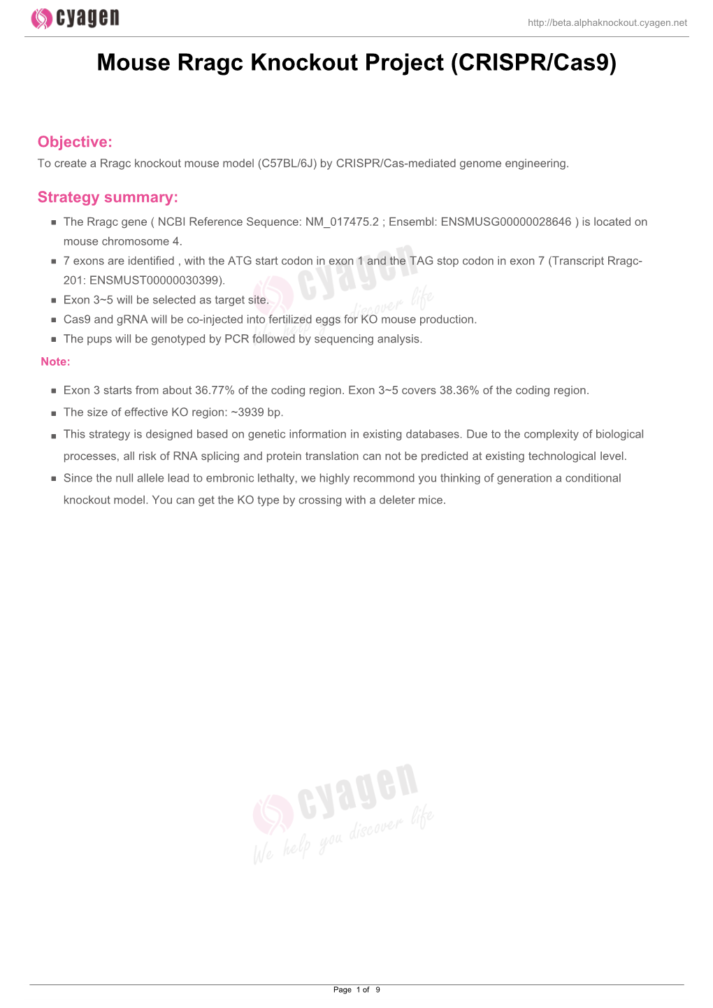 Mouse Rragc Knockout Project (CRISPR/Cas9)