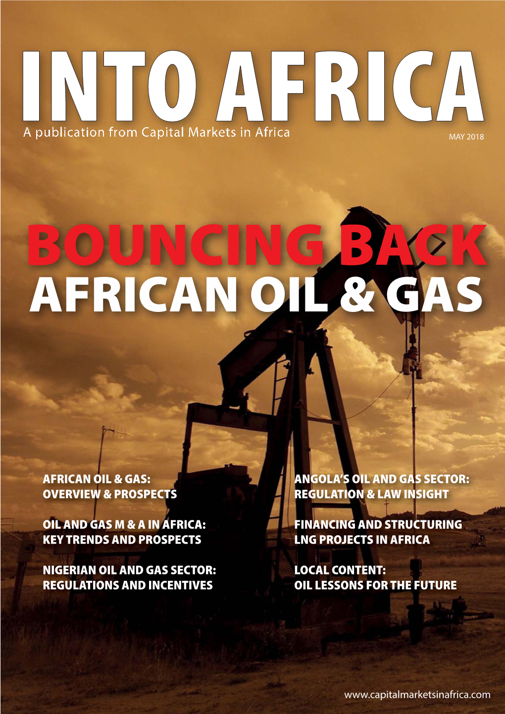 Into Africa Publication