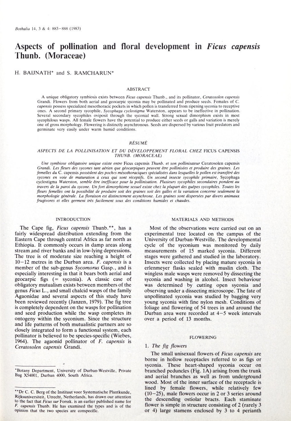 Aspects of Pollination and Floral Development in Ficus Capensis Thunb