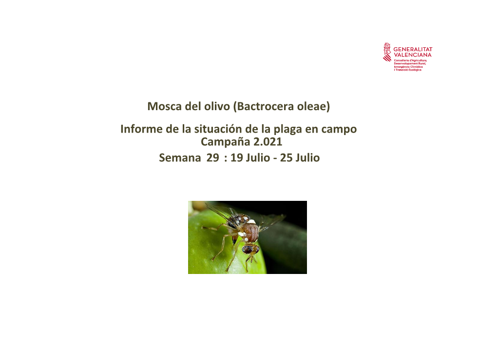 Semana 29 : 19 Julio - 25 Julio Red De Monitorización Mosca Del Olivo (Bactrocera Oleae) Porcentaje De Trampas Contadas: 99,18% Índice