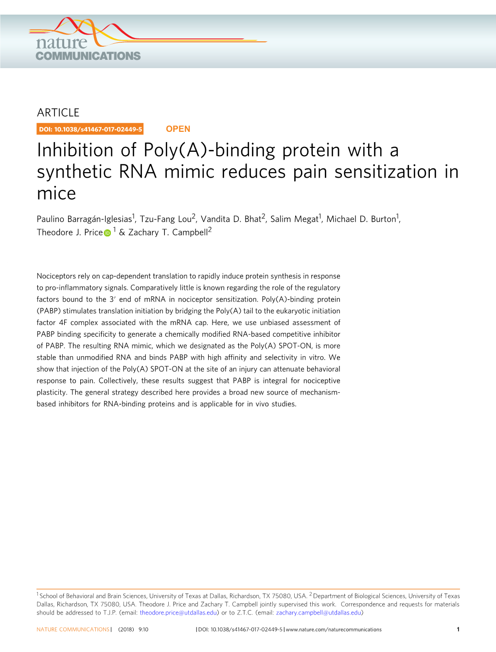 Binding Protein with a Synthetic RNA Mimic Reduces Pain Sensitization in Mice
