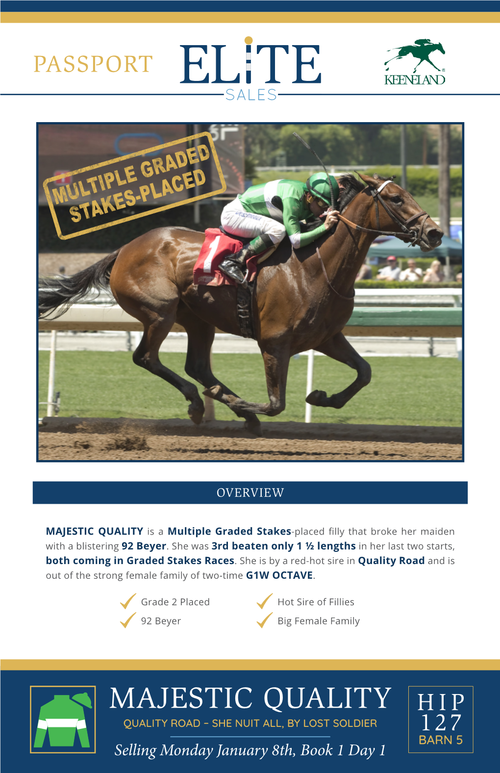 MAJESTIC QUALITY Is a Multiple Graded Stakes-Placed Filly That Broke Her Maiden with a Blistering 92 Beyer