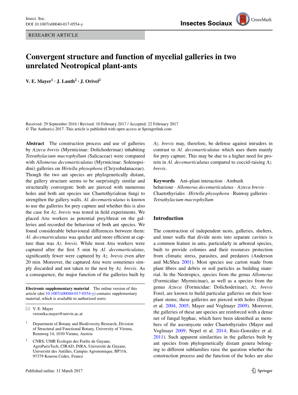 Convergent Structure and Function of Mycelial Galleries in Two Unrelated Neotropical Plant-Ants