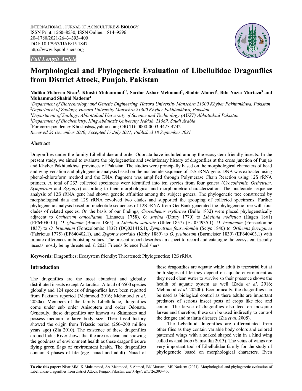 Morphological and Phylogenetic Evaluation of Libellulidae Dragonflies from District Attock, Punjab, Pakistan