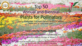 Top 50 Annual and Biennial Plants for Pollinators