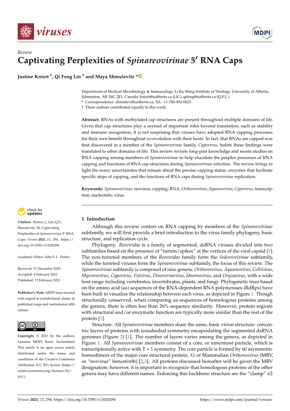 Captivating Perplexities of Spinareovirinae 5' RNA Caps