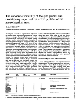 The Endocrine Versatility of the Gut: General and Evolutionary Aspects of the Active Peptides of the Gastrointestinal Tract