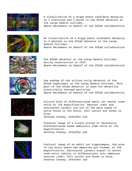 A Visualization of a Higgs Boson Candidate Decaying to 2 Electrons and 2 Muons in the ATLAS Detector at the Large Hadron Collider