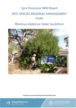 Eyre Peninsula Italian Buckthorn Management Plan