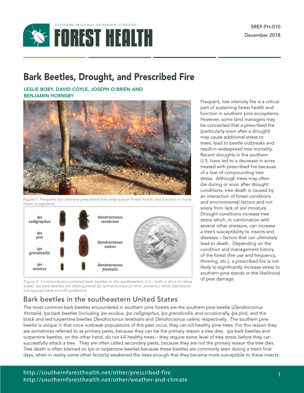 Bark Beetles, Drought, and Prescribed Fire