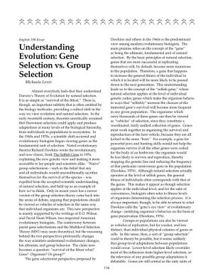 Understanding Evolution: Gene Selection Vs. Group Selection By