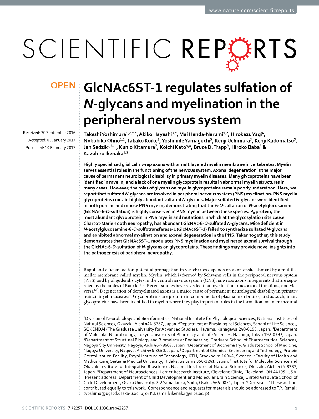 Glcnac6st-1 Regulates Sulfation of N-Glycans and Myelination in the Peripheral Nervous System