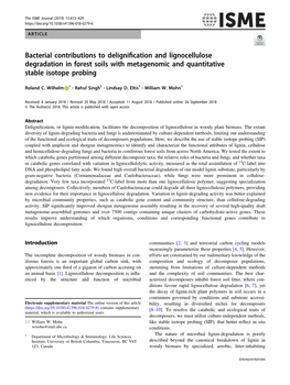 Bacterial Contributions to Delignification and Lignocellulose