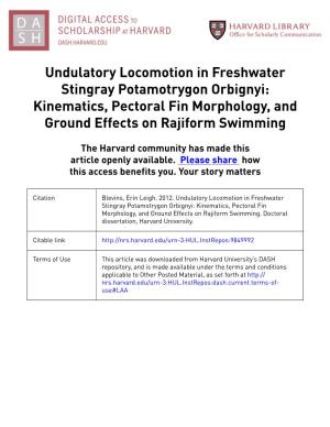 Undulatory Locomotion in Freshwater Stingray Potamotrygon Orbignyi: Kinematics, Pectoral Fin Morphology, and Ground Effects on Rajiform Swimming