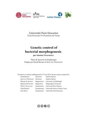 Genetic Control of Bacterial Morphogenesis Par Antoine Vigouroux