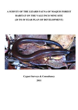 A Survey of the Lizard Fauna of Maquis Forest Habitat on the Vale Inco Mine Site (20 to 30 Year Plan of Development)