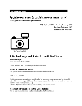 Pygidianops Cuao (A Catfish, No Common Name) Ecological Risk Screening Summary