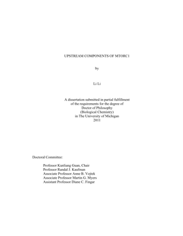 UPSTREAM COMPONENTS of MTORC1 by Li Li a Dissertation