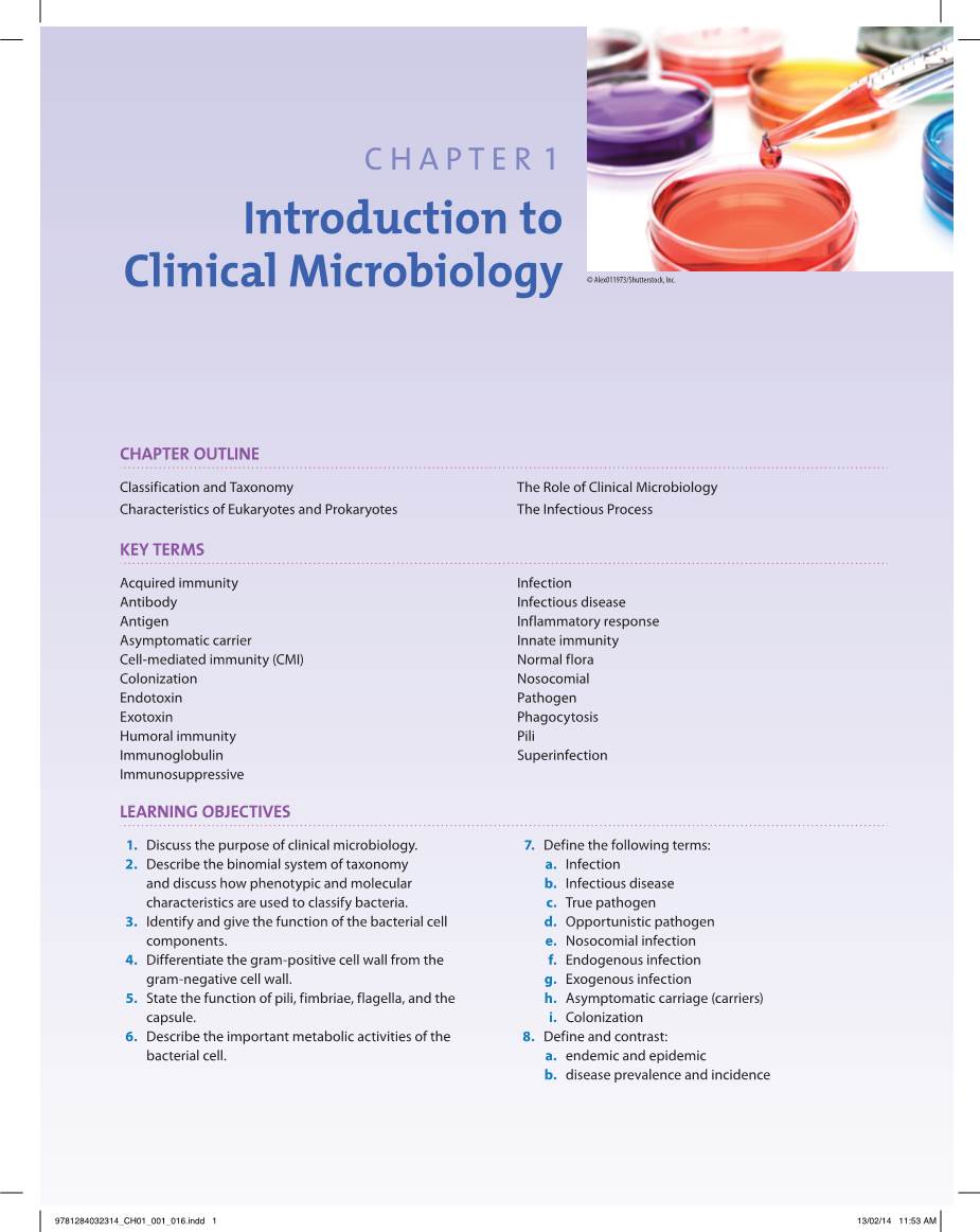 Introduction to Clinical Microbiology © Alex011973/Shutterstock, Inc