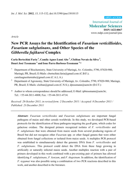 New PCR Assays for the Identification of Fusarium Verticillioides, Fusarium Subglutinans, and Other Species of the Gibberella Fujikuroi Complex