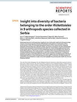 Insight Into Diversity of Bacteria Belonging to the Order Rickettsiales