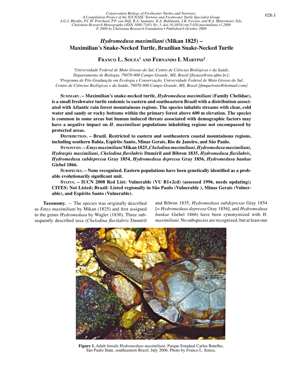 Hydromedusa Maximiliani (Mikan 1825) – Maximilian’S Snake-Necked Turtle, Brazilian Snake-Necked Turtle