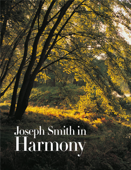 Joseph Smith in Harmony by Elder Steven E