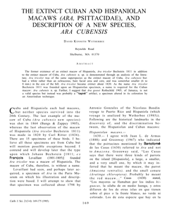 The Extinct Cuban and Hispaniolan Macaws (Ara, Psittacidae), and Description of a New Species, Ara Cubensis