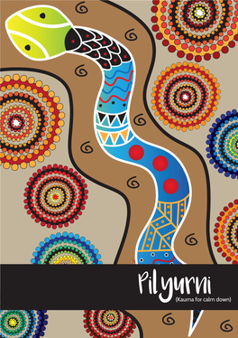 Pilyurni(Kaurna for Calm Down) Colouring in Is a Great Way to Help Calm Yourself Down and Make You Feel More Relaxed Through Artistic Self-Expression