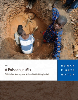 A Poisonous Mix RIGHTS Child Labor, Mercury, and Artisanal Gold Mining in Mali WATCH