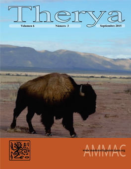 La Portada Bisonte (Bison Bison) En El Rancho Armendaris, Nuevo México